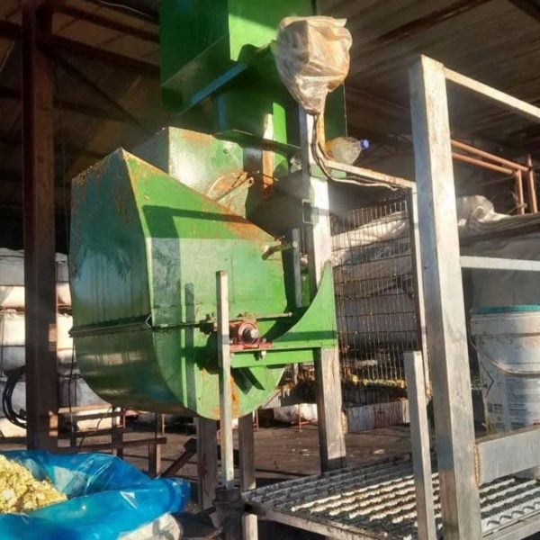 mango atchar processing/cutting machine