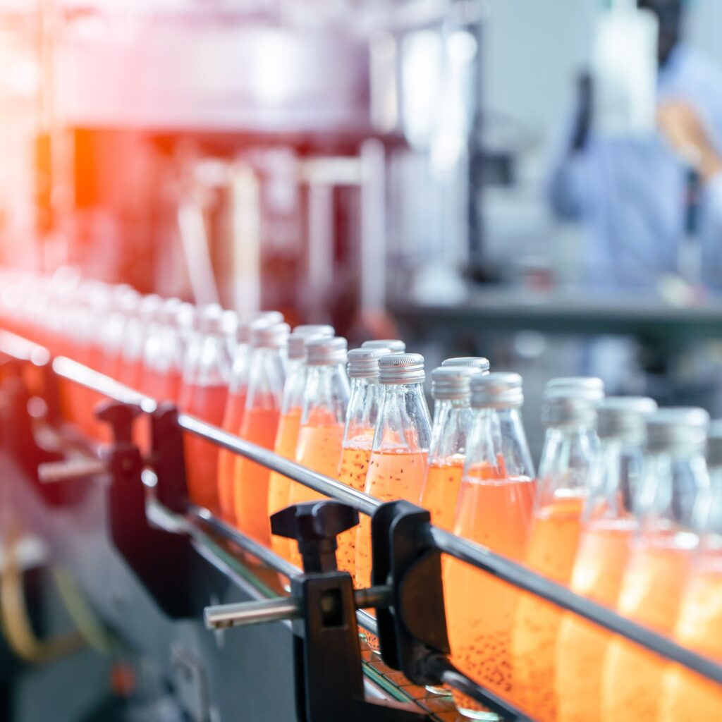 Fruit Pulper Machinery