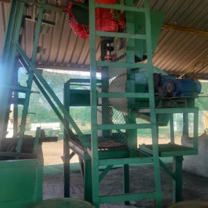 mango cutting/ filling